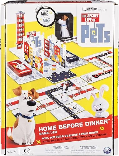 Juego de mesa SFP Magnet Maze