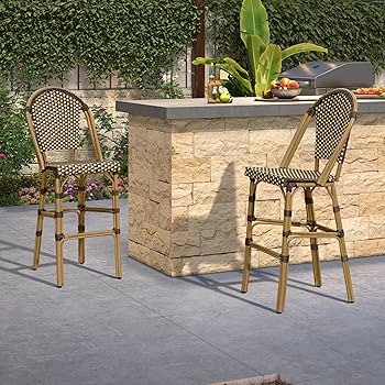 Amazon.com : PURPLE LEAF French Bar Stool Set of 2 Bamboo Print