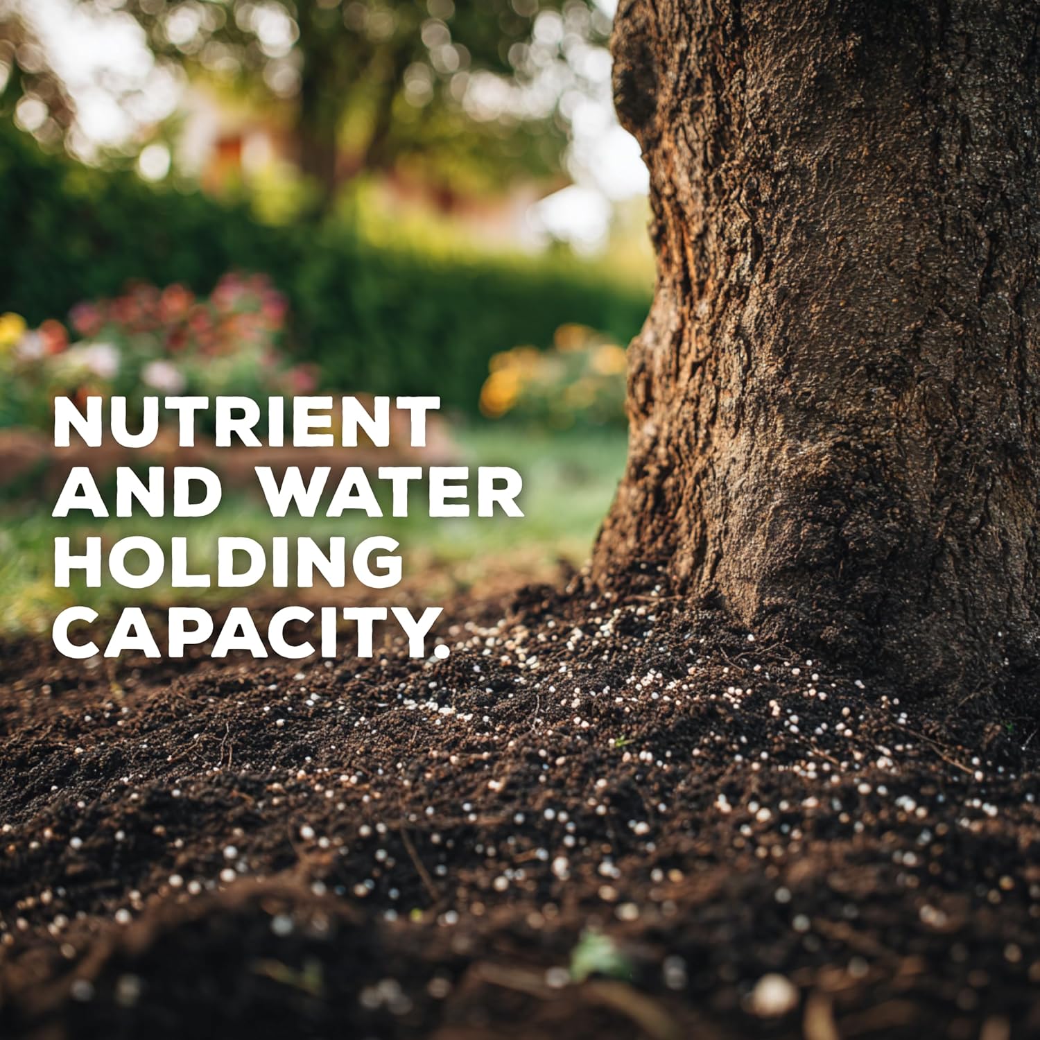 Soil Seed & Water Zeolite Soil Conditioner – Natural Minerals for Water Retention, Nutrient Exchange, and Drainage - Home Garden - OMRI Listed