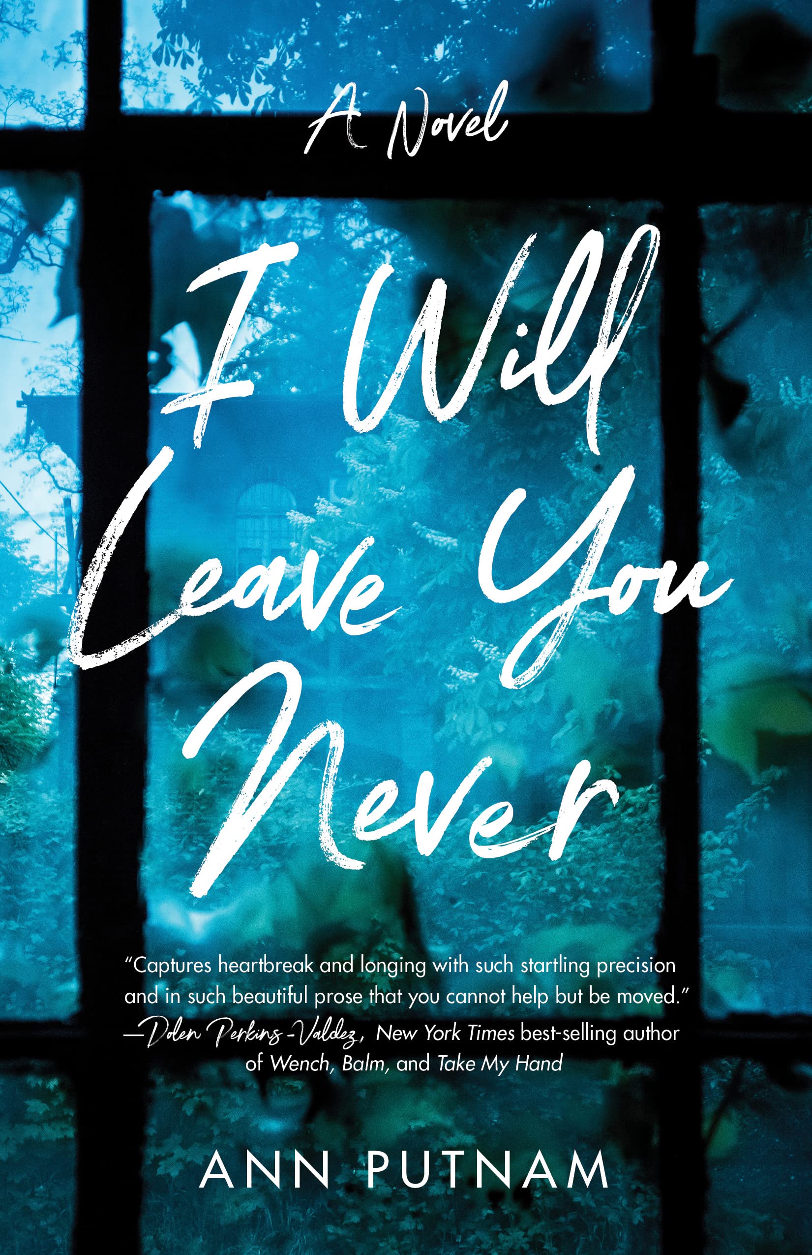Buy I Will Leave You Never: A Novel — BookShops.in