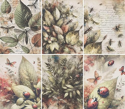 Bugs n Leaves Rice Paper, 8 x 10.5 inch (6pc)