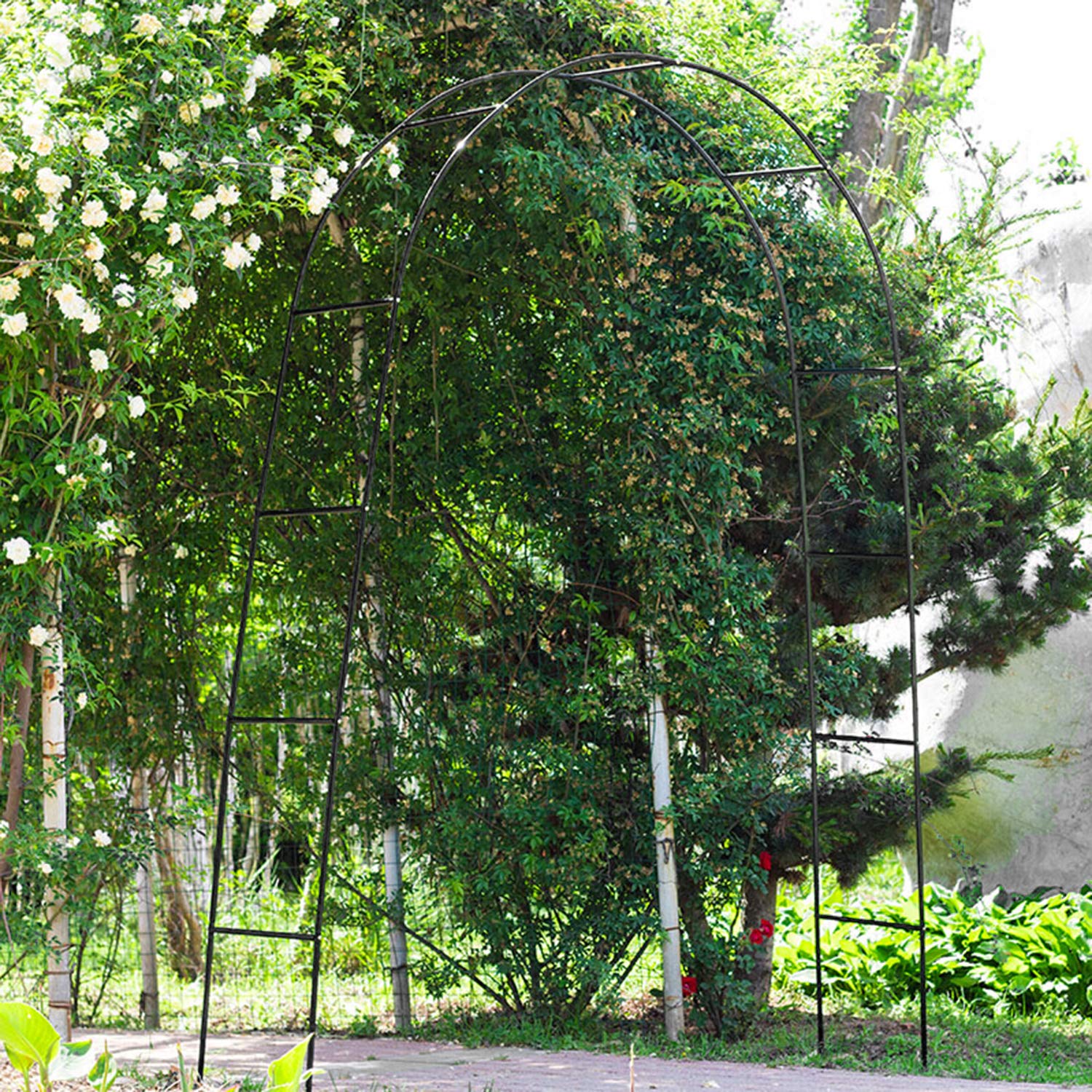 Forever Speed Arche de Jardin/Mariage en Métal - Arceau à Rosiers, Tuteur, Colonne pour Plantes Grimpantes - 240 x 140 x 38 CM - Noir