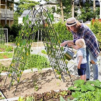 Amazon | TANGKULA ローズトレリス バラトレリス ガーデン