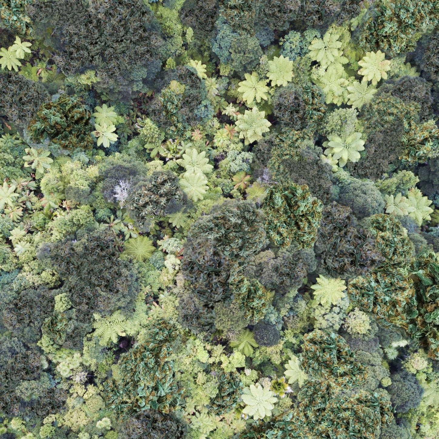 Avantdale Bowling Club