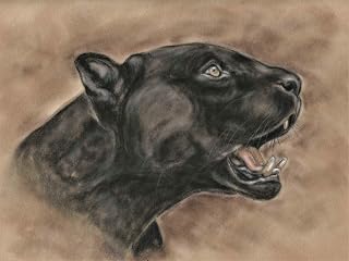 Large black panther print animal gifts wall art of original panther painting by Tracey Earl. Size A3 unframed.