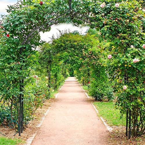 Miniatura 9 de GOFLAME Arco de acero para jardín, cenador de rosas para varias plantas trepadoras, jardín al aire libre, patio trasero, estilo gótico, resistente,