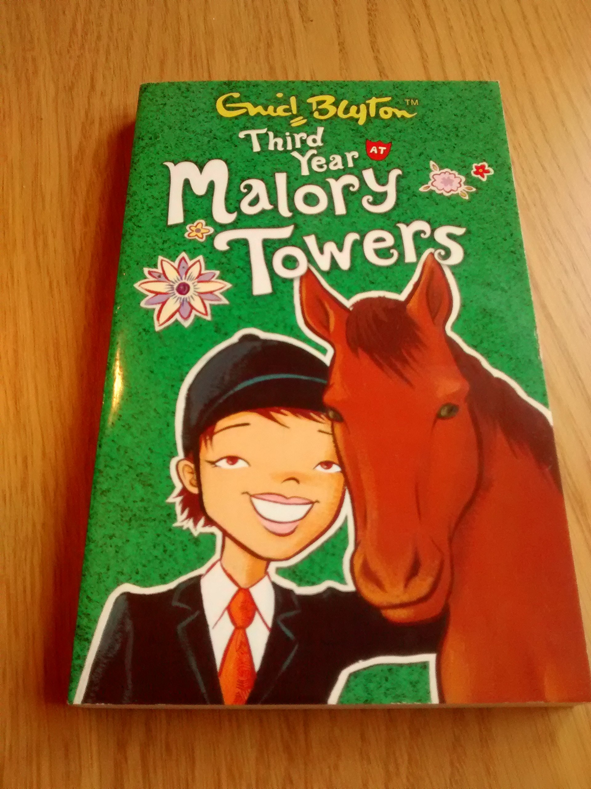 Third Year (Malory Towers)