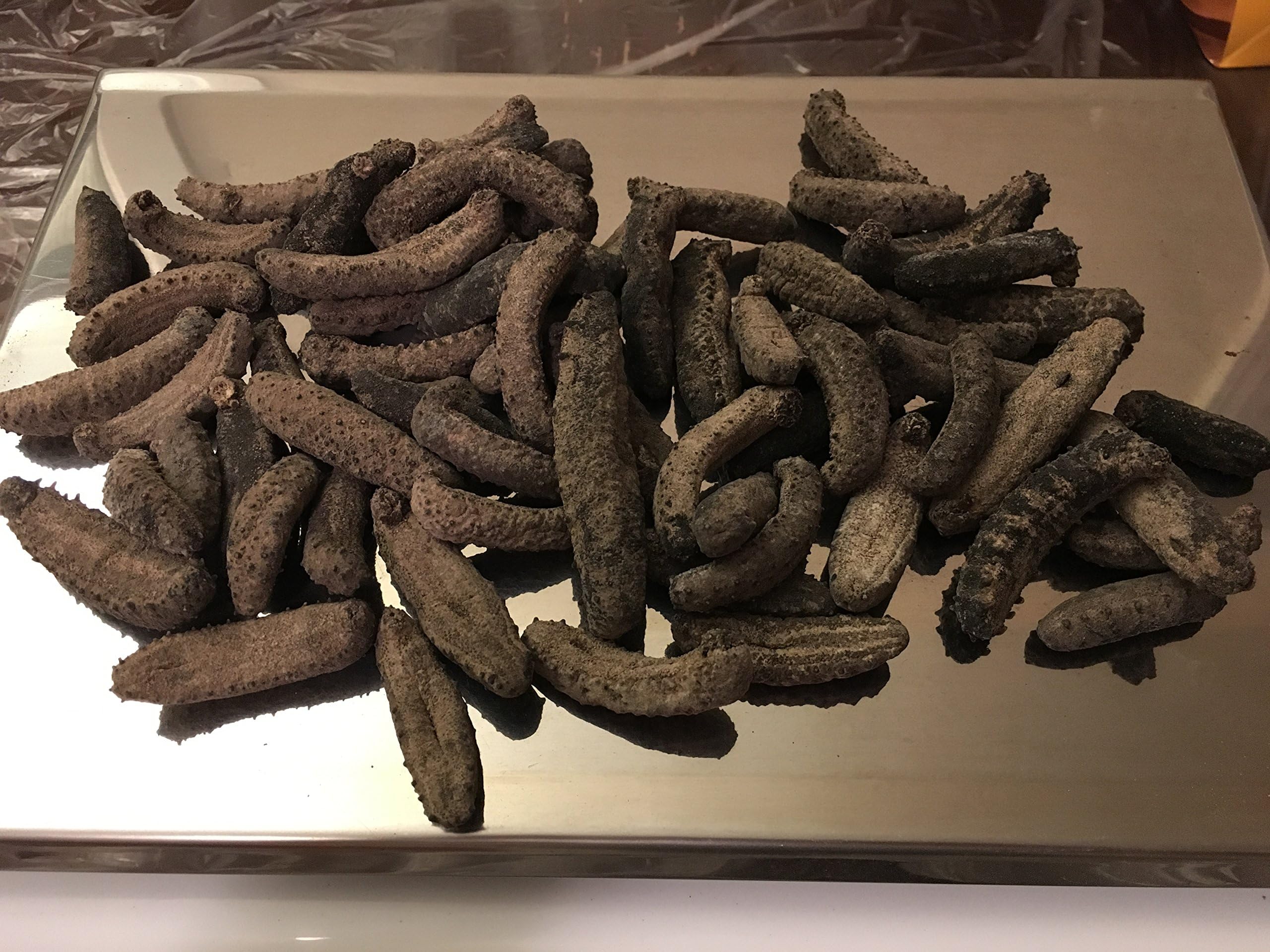 GOLDENSEA-Sun Dried Wild Sea Cucumber,Badionotus,金海堂-野生淡干海参,野生南美刺参，(Mix Size) Grade AAAA, 1LB