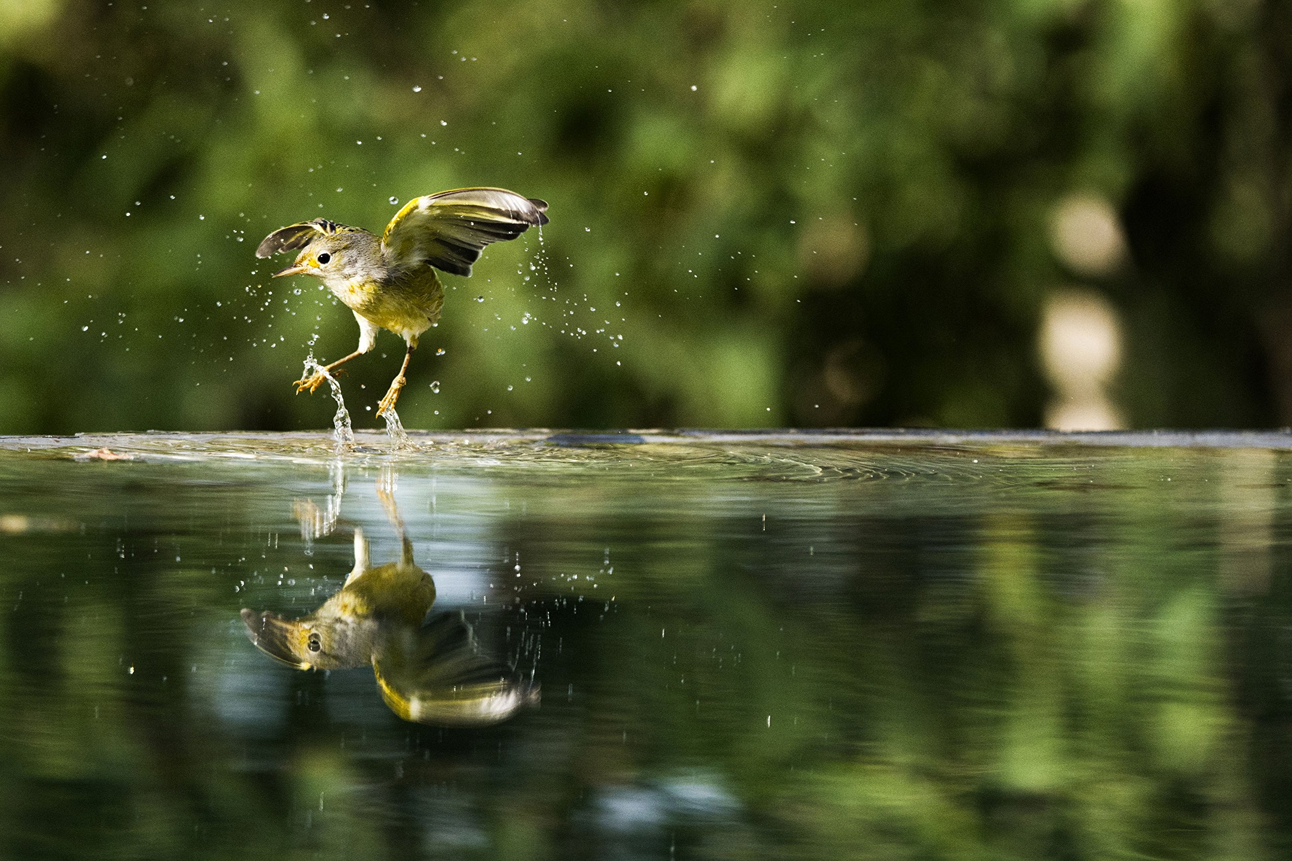 Galapagos mit David Attenborough