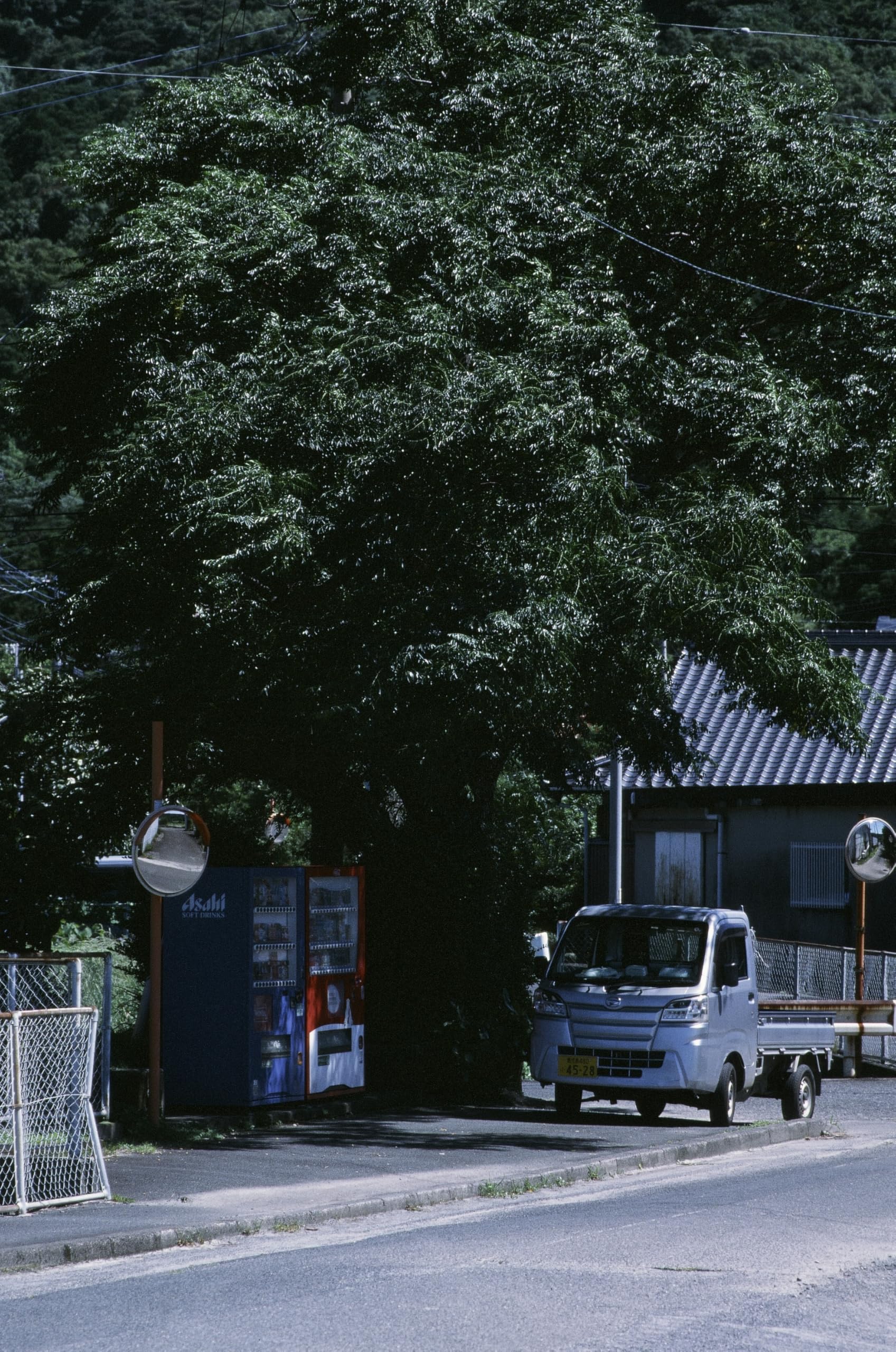 Amazon | RETOCOLOR Mosaic 100 35mm カラーリバーサルフィルム、27EXP