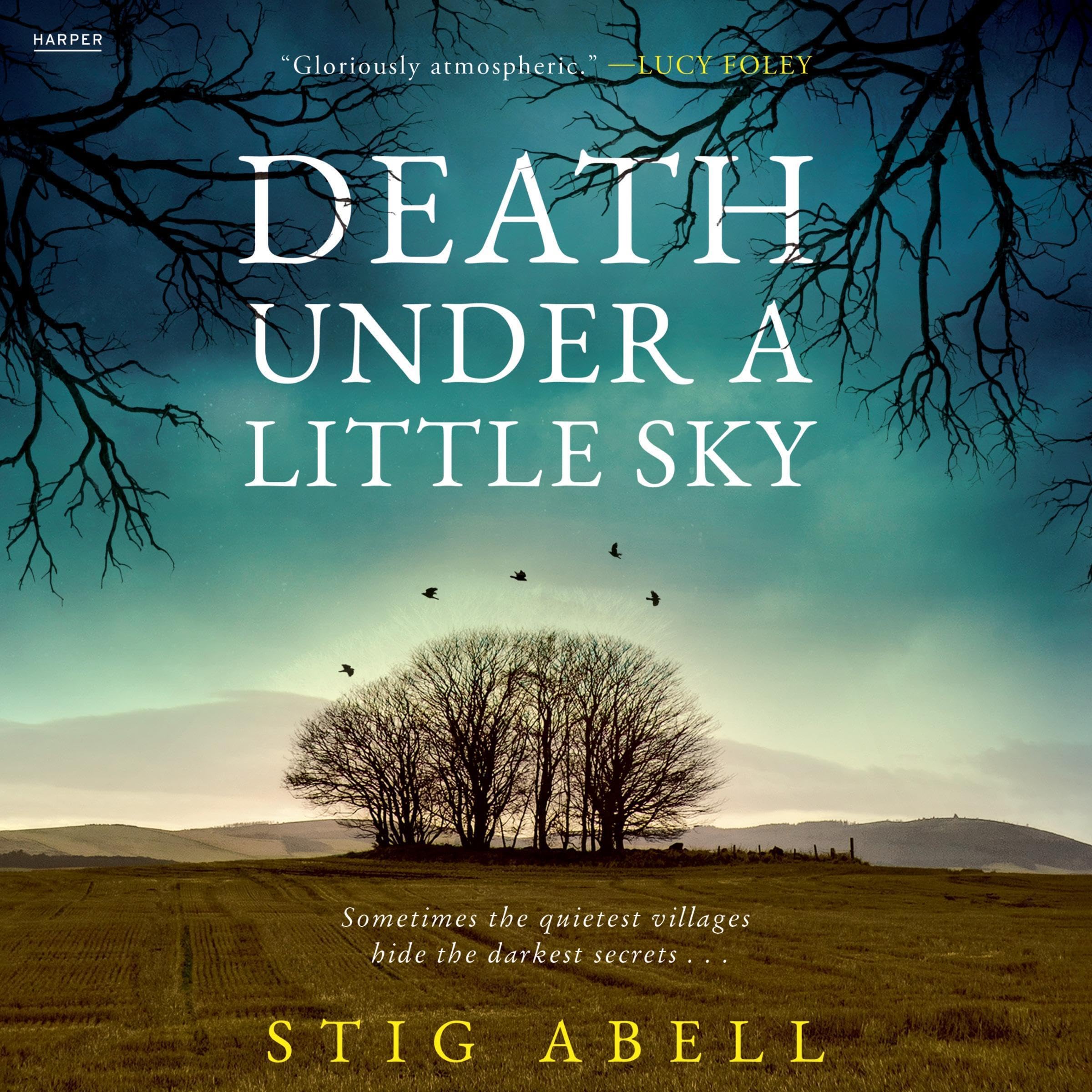 Cover art for Death Under a Little Sky