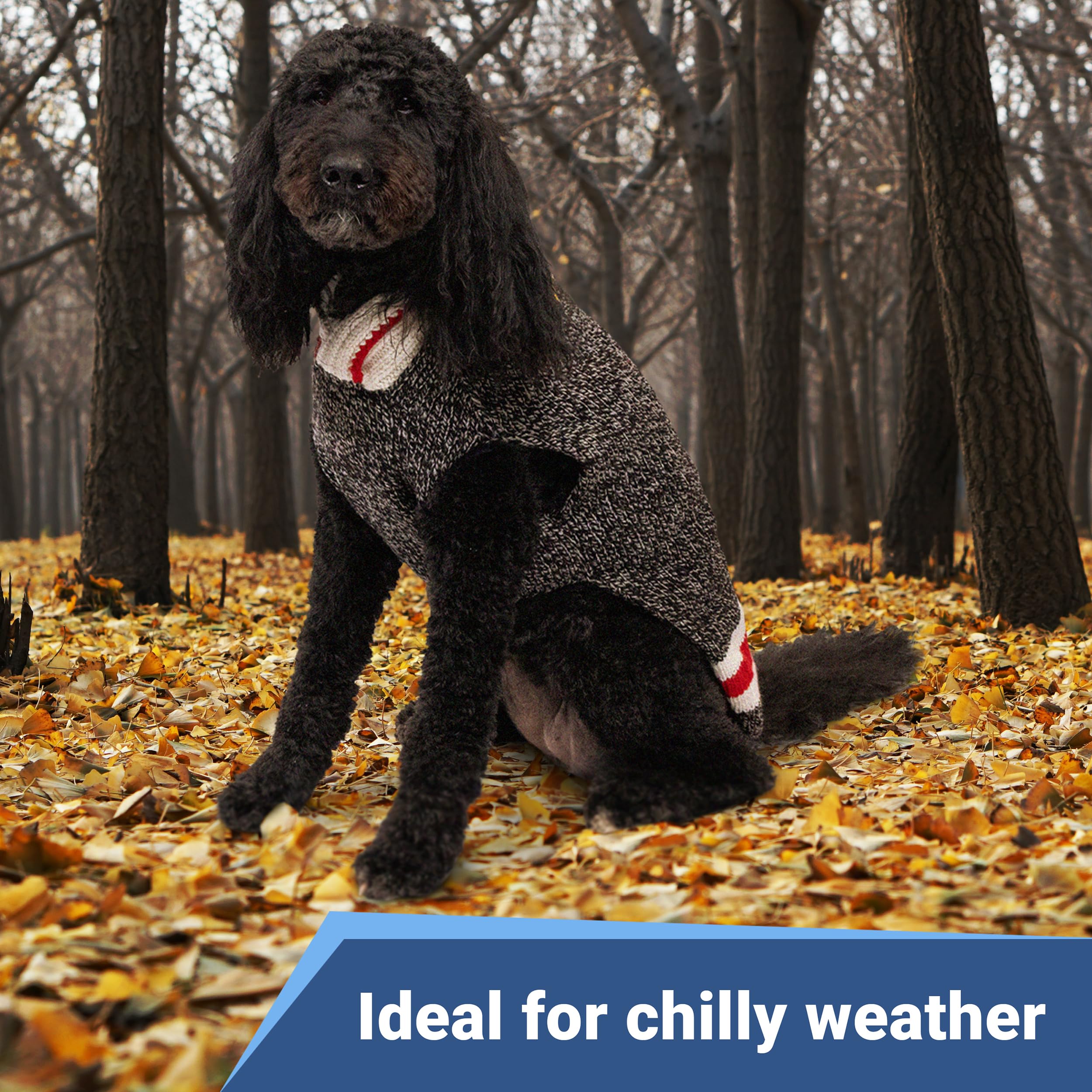 GoTags Personalized Dog Sweaters, Knit Wool Sweater Custom Embroidered with Name, Warm and Cozy Winter Cold Weather Sweatshirt for Dogs, Light Gray (Medium)