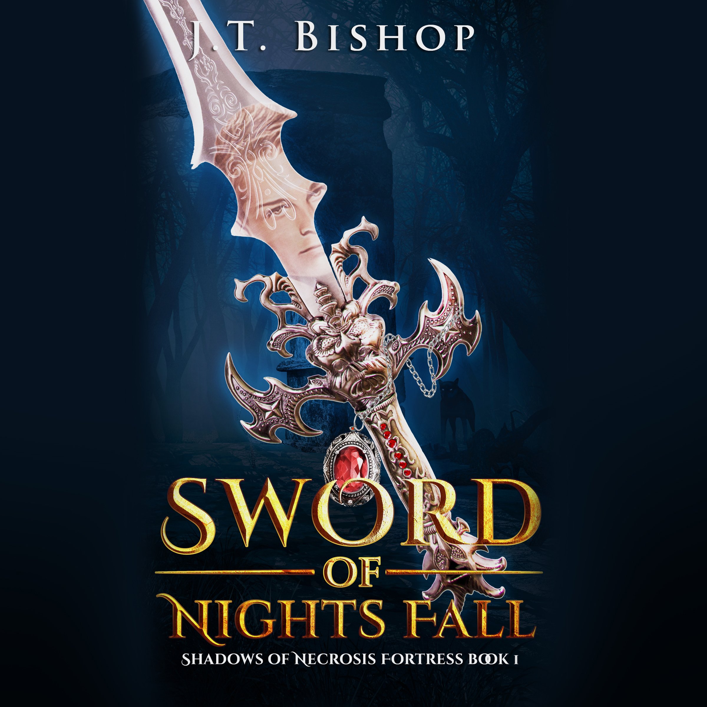 Cover art for Sword of Nights Fall