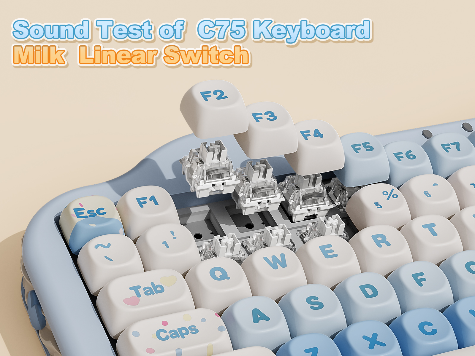 YUNZII C75 ワイヤレス メカニカルキーボード 75%レイアウト DXT Amazon.com: YUNZII C75 Wireless Mechanical Keyboard,75% Layout