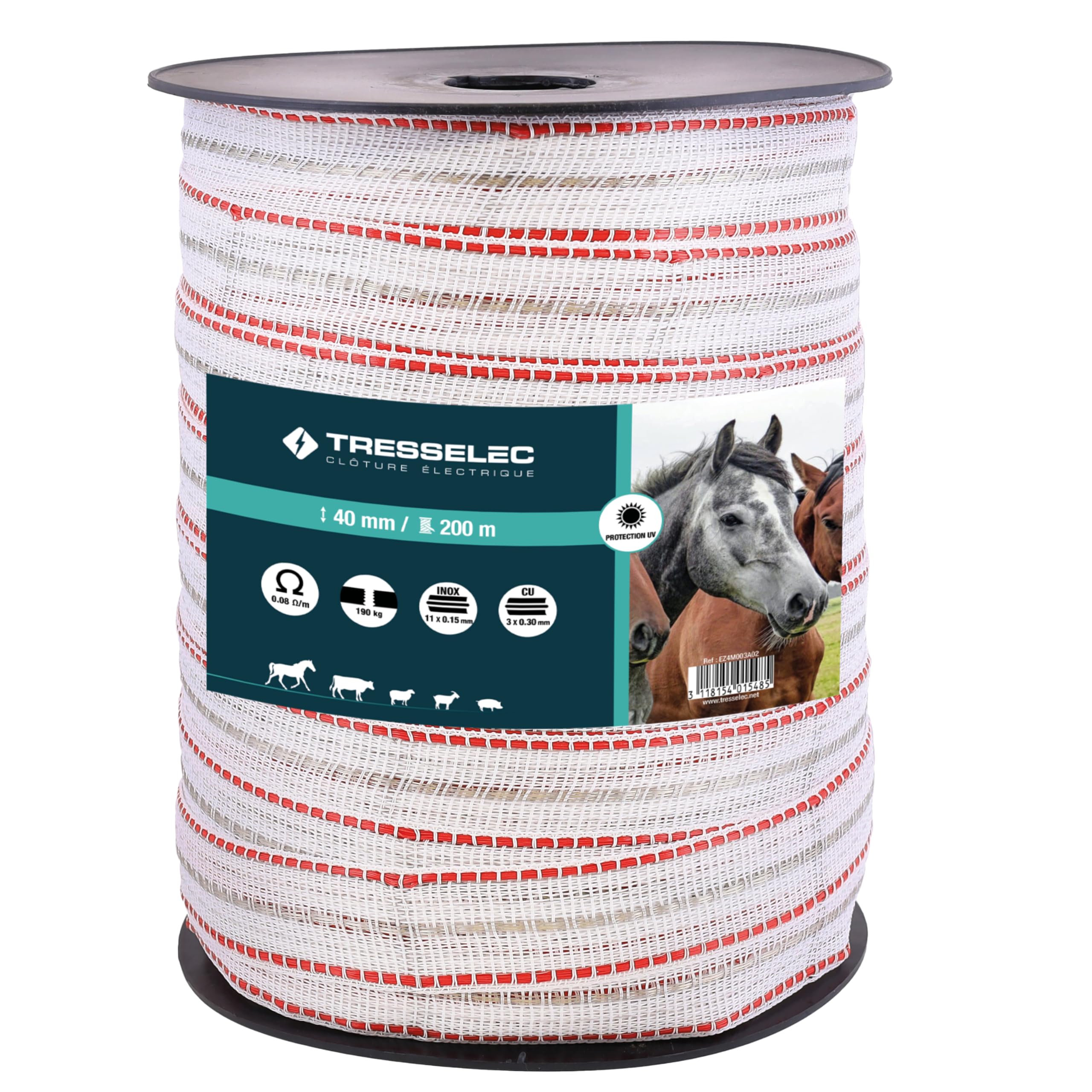 Nastro ZZ 40 mm - Recinzione elettrica per animali (mucca, capra, pecora, cavallo) - Bobina da 200 m - 11 fili in acciaio inox diametro 0,20 mm e 3 fili rame diametro 0,30 mm