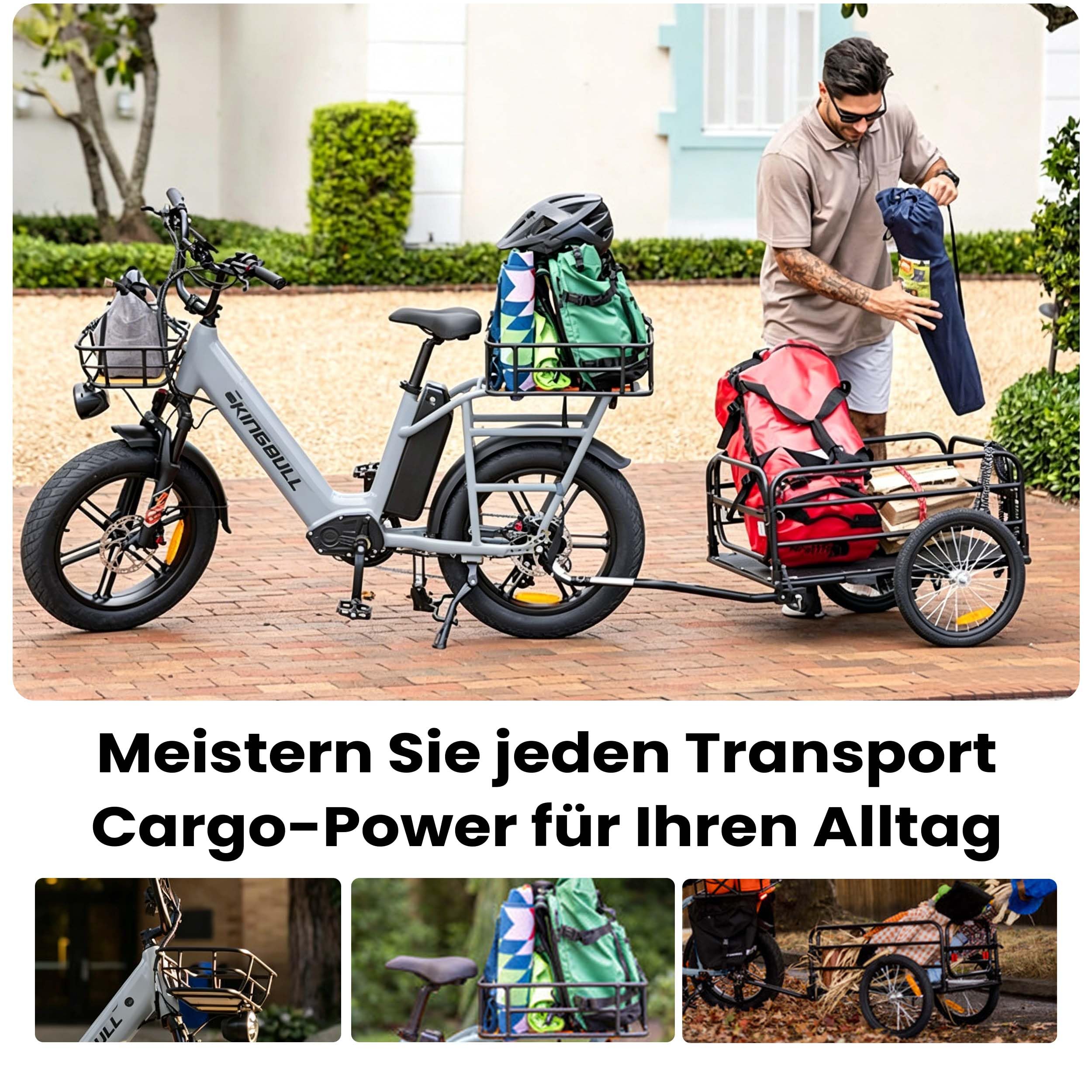 Elektric Cargo Bike Fat Tire E-Bike 20 Zoll 200kg Zuladung 960Wh, 25km/h Elektrofahrrad 100km Reichweite, Hydraulikbremsen für Erwachsene