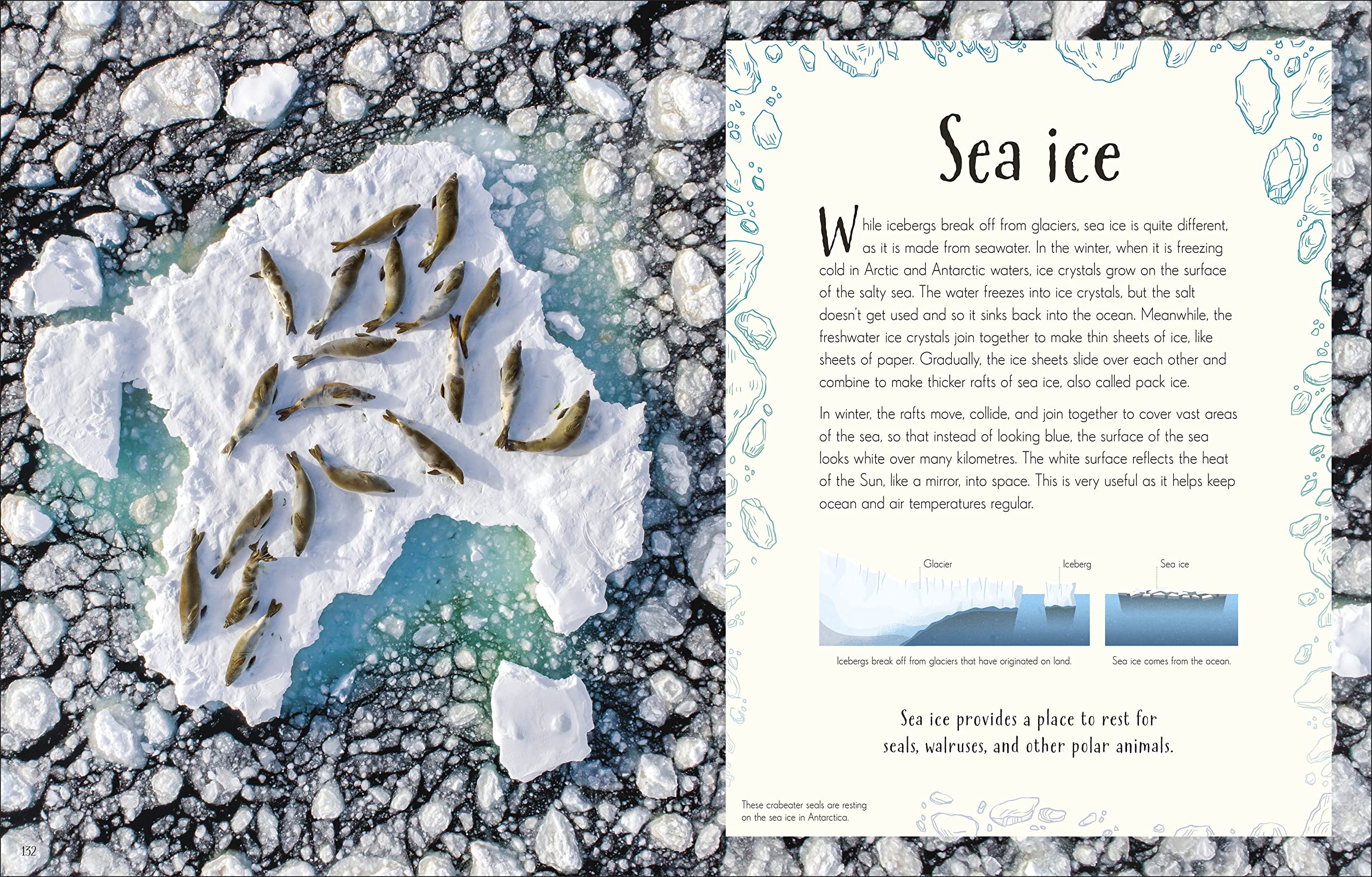 An Anthology of Our Extraordinary Earth: Discover the Awe-Inspiring Wonders of Planet Earth (DK Children's Anthologies)