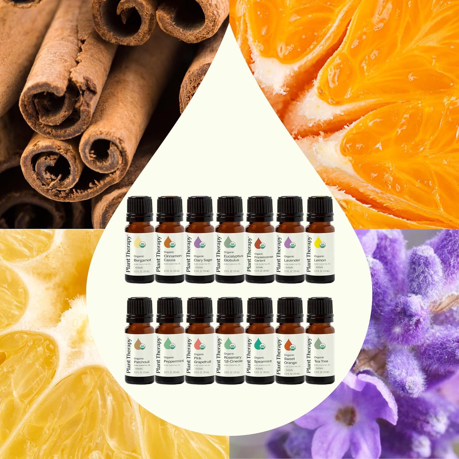 Plant Therapy Top 14 Organic Essential Oil Singles Set 100% Pure Essential Oils, Undiluted, Natural Aromatherapy for Diffusion and Body Care 10 mL (1/3 oz) Each
