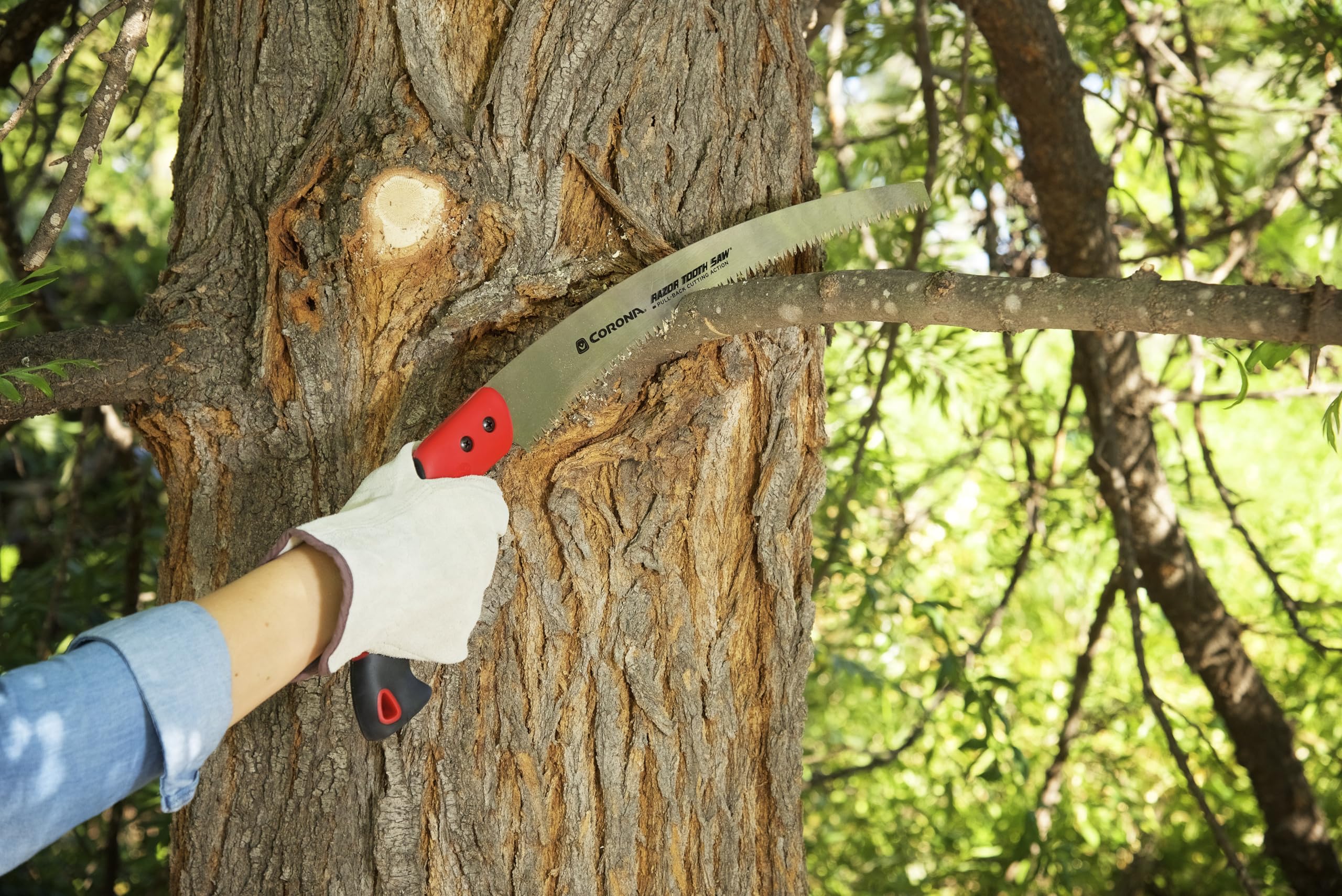Amazon.com : Corona Tools 14-Inch RazorTOOTH Pruning Saw | Tree