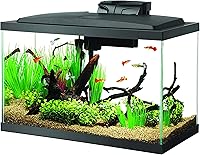 Aqueon 10 Gallon LED Aquarium Starter Kit - Complete Fish Tank with Filter, Heater, Light & Setup Guide
