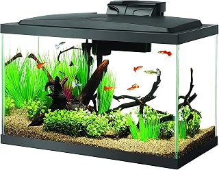 Aqueon 10 Gallon LED Aquarium Starter Kit - Complete Fish Tank with Filter, Heater, Light & Setup Guide