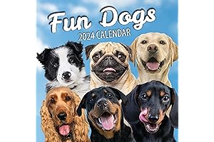 2024-2025 Fun Dogs Wall Calendar