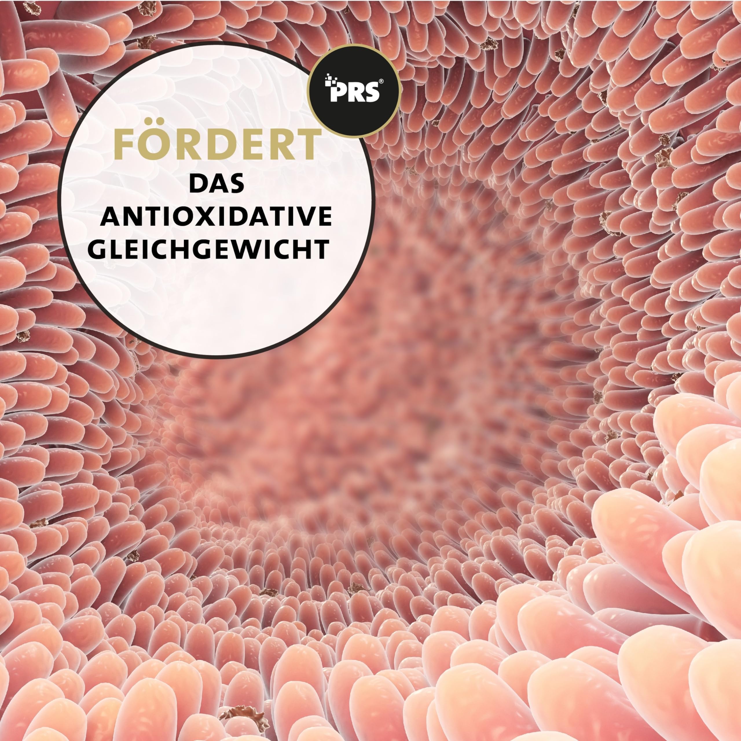Peticare Antioxidantien-Boost für Pferde | Unterstützung bei Zellschäden & Immunstärkung, Anstrengung | Mit natürlichen Inhaltsstoffen | bei oxidativem Stress | petHorse Health 4607