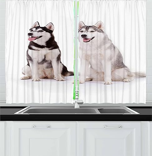 Ambesonne Alaskan Malamute - Cortinas de cocina de perritos árticos peludos, husky whelp pedigree mascota feliz mamífero siberiano, juego de 2