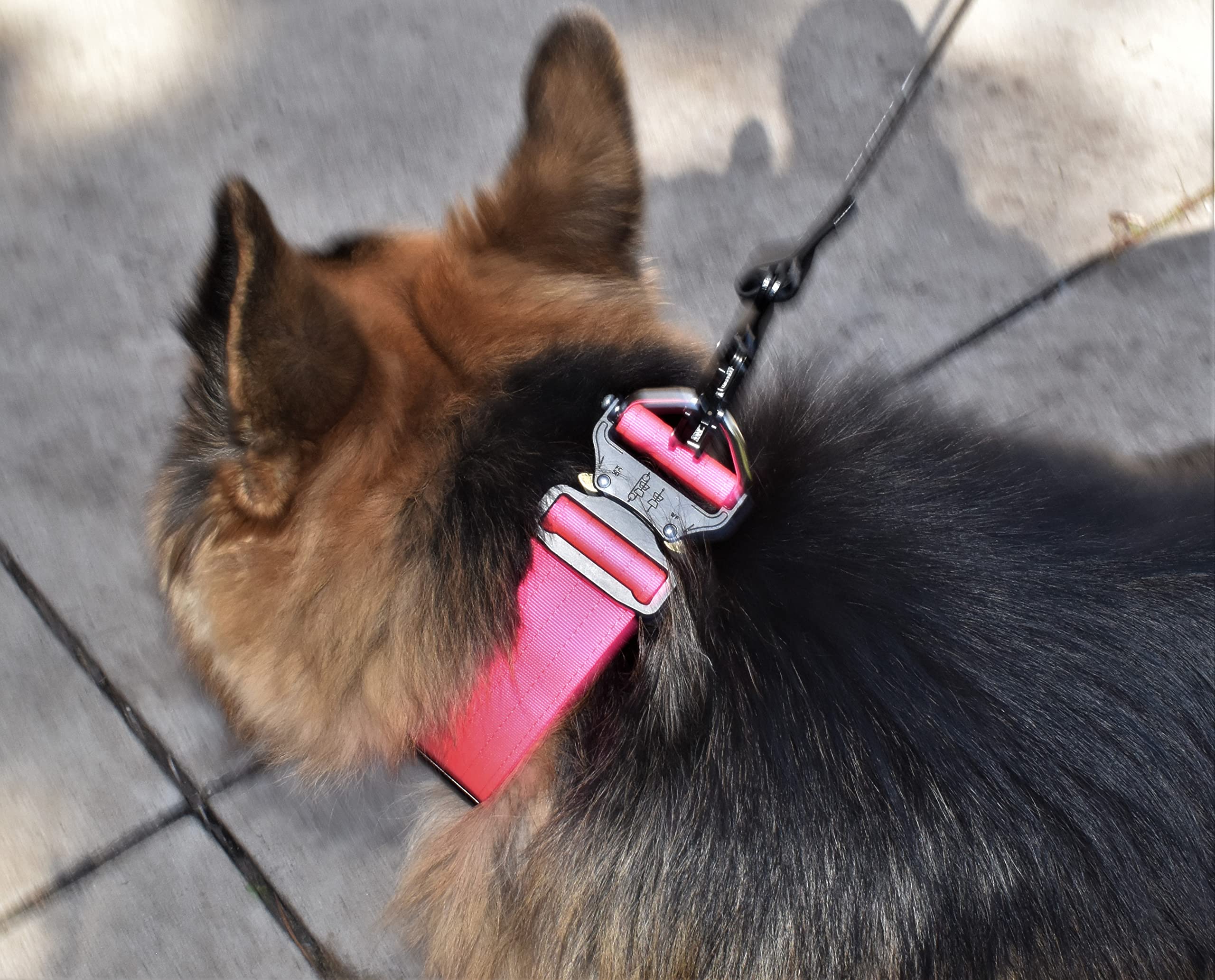 Collar táctico para perro de 5 cm de ancho, grueso, estilo militar resistente con hebilla de metal, ajustable para razas medianas y grandes, equipo de entrenamiento K9 duradero con área de parche