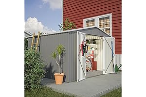 10 x 8 ft Outdoor Storage Shed: Spacious Solution for Garden Storage