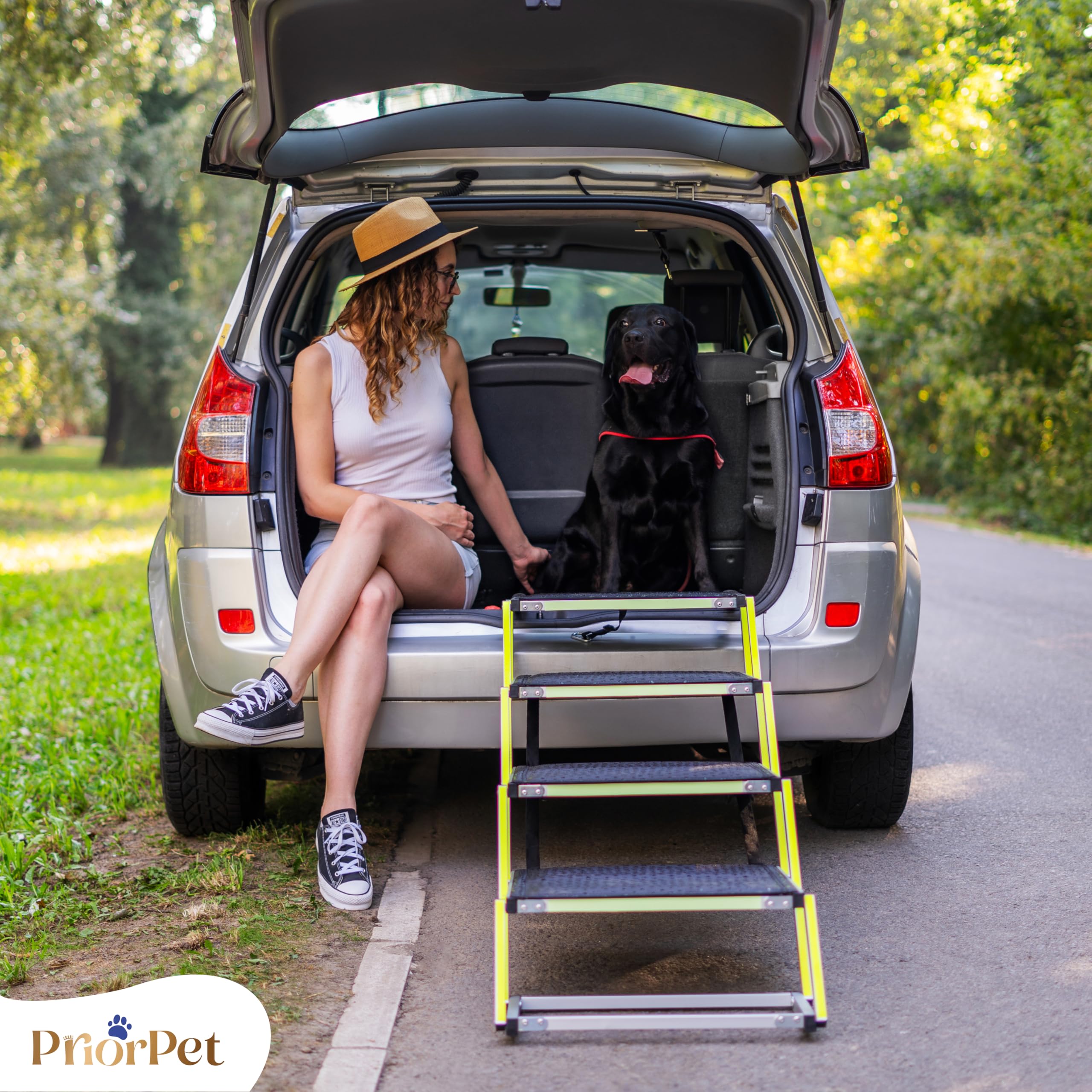 Scala per cani Auto pieghevole – Scala extra larga per cani grandi – Per auto alte e SUV – Passaggi luminosi di notte – Aiuto per articolazioni – Superficie antiscivolo – Fino a 105 kg – 4 gradini