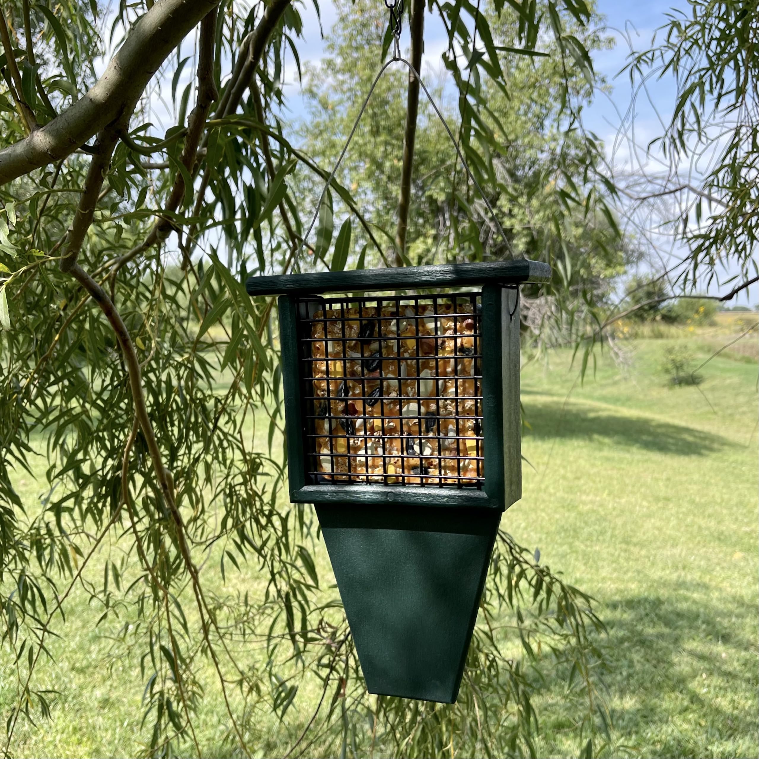 Songbird Essentials SERUBSF100H - Mangiatoia per suet con coda, 29 x 6,3 x 19 cm