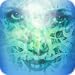Vibrational Energy Oracle Cards
