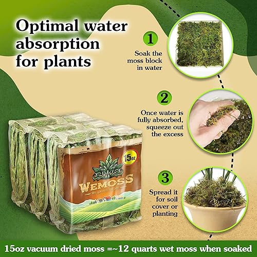 Miniatura 10 de WEMOSS Musgo natural para plantas de interior, musgo seco para plantas en maceta, musgo de orquídea para trasplantar, musgo de bosque para mezcla de