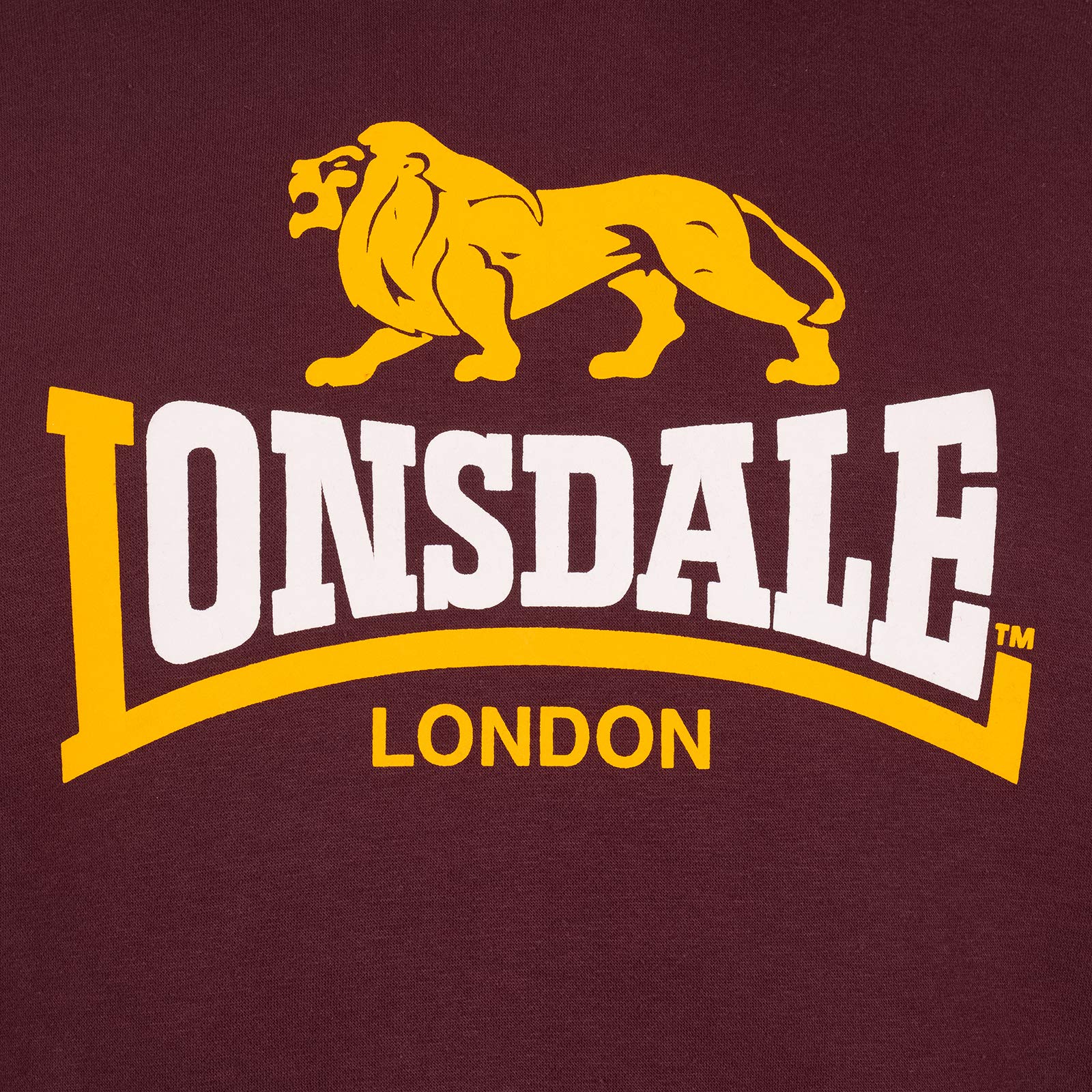 Lonsdale Sleeve Sudadera con Capucha Hombre (Pack de 1)