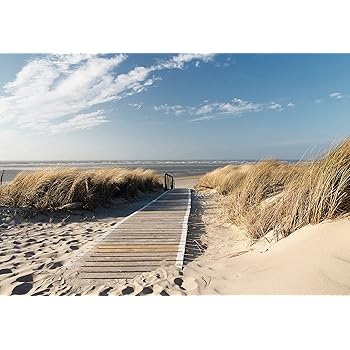 Fototapete Strand Meer Vlies Wand Tapete Wohnzimmer Schlafzimmer