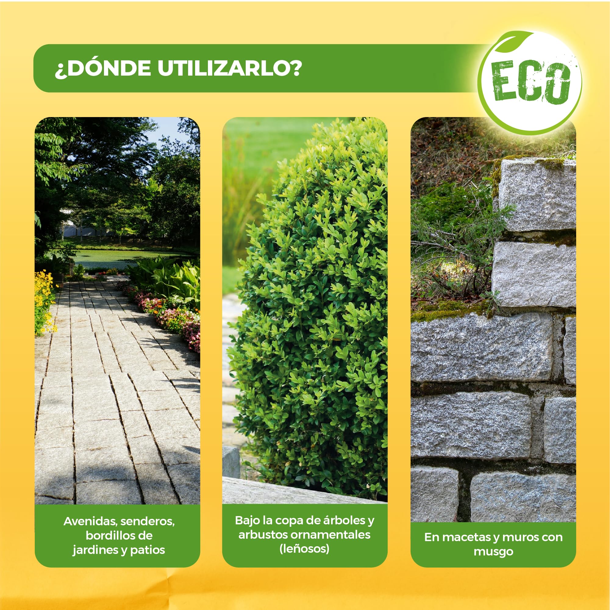 Solabiol, herbicida orgánico completo listo para usar, herbicida para malas hierbas y musgo con efecto desecante, ideal para calzadas y bordes, 3L