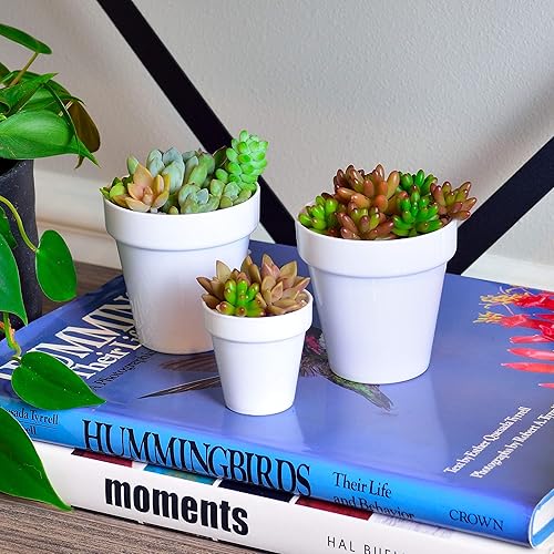 Miniatura 5 de Youngever Paquete de 24 mini macetas de plástico de 2 pulgadas, macetas de interior, maceta de jardinería blanca con drenaje, no incluye planta