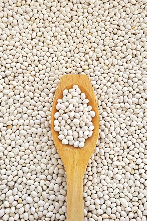 Hunza Organic Navy Beans (2 lbs)