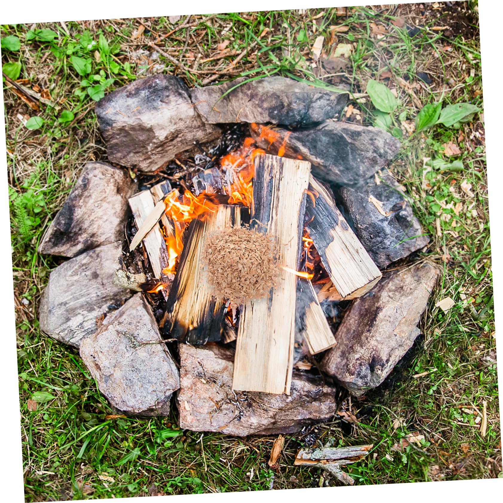 COLLBATH Hickory Grillholzchips 1 Beutel für Fleisch und Steaks Professionell Vielseitig Einsetzbar für BBQ und Outdoor Räuchern