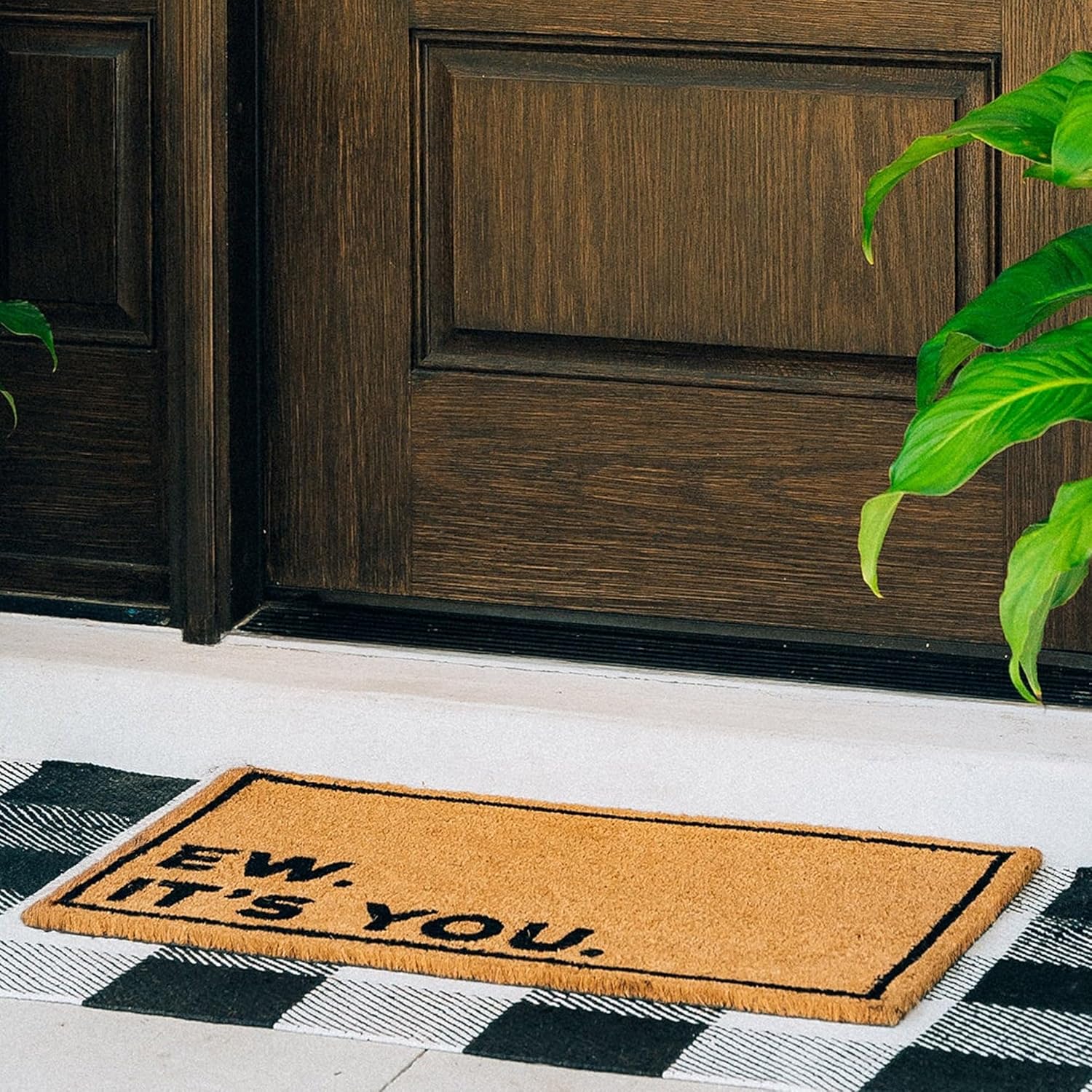 THEODORE MAGNUS Funny Door Mat - Welcome Mat for Front Door with Non-Slip Backing - Durable Coir Doormat - Perfect for Outside Entrance Matt - Outdoor/Indoor - Ew Its You - 17" x 30"