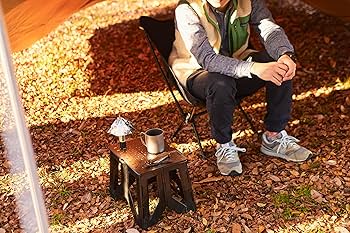 Amazon | 長谷川工業(Hasegawa) カーボン樹脂製コンパクト踏台 desta 1