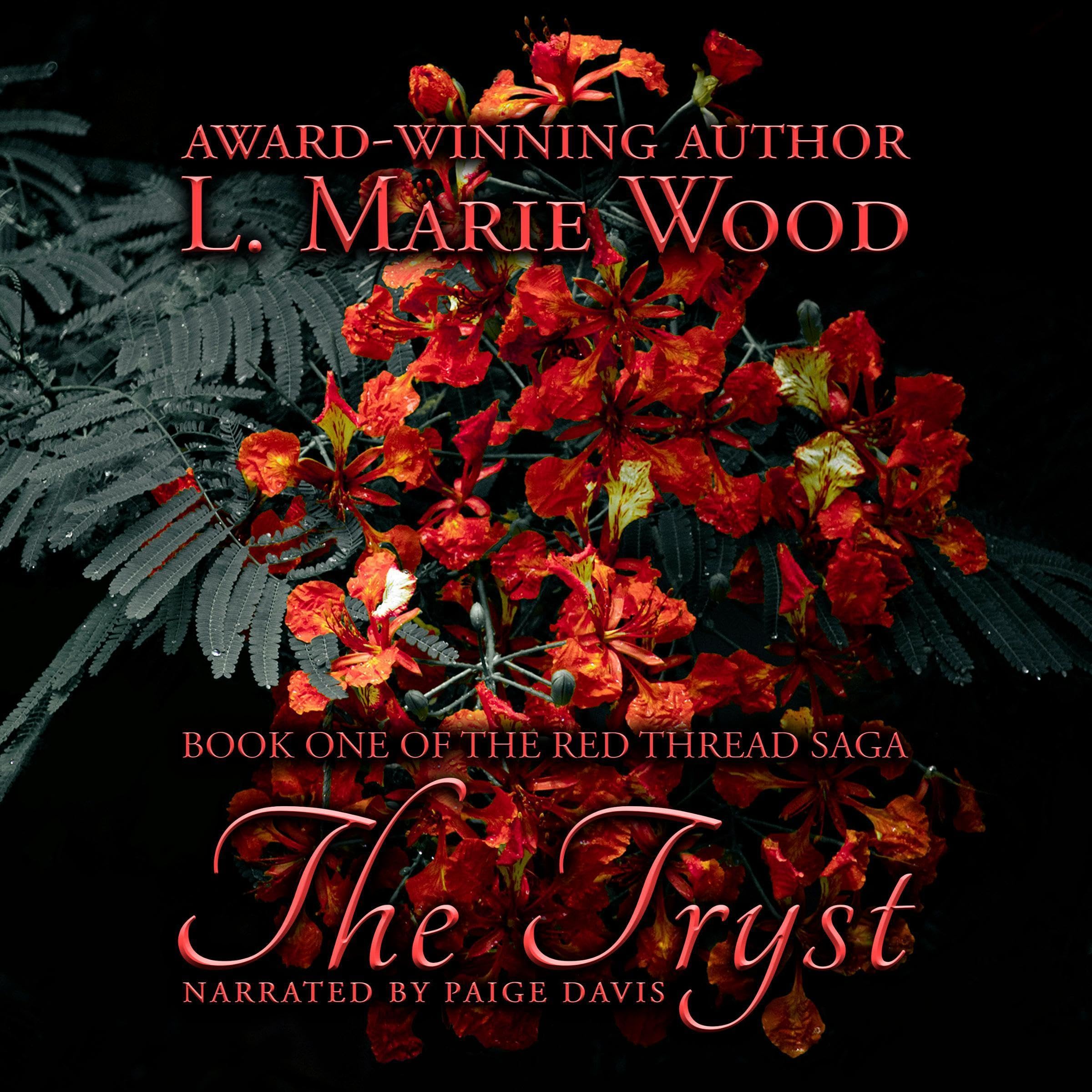 Cover art for The Tryst
