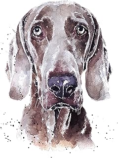 Weimaraner A Gentle Soul - Print Watercolour, weimaraner wall hanging,weimaraner art print,weimaraner home decor