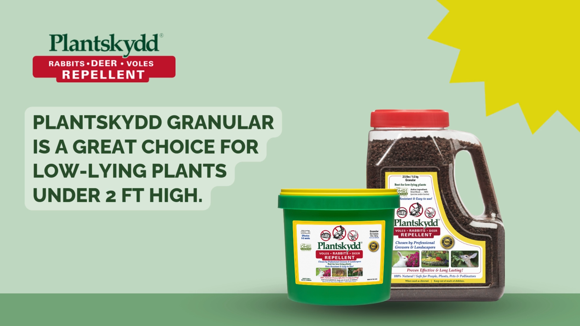 Amazon.com: Plantskydd Animal Repellent - Repels Deer, Rabbits