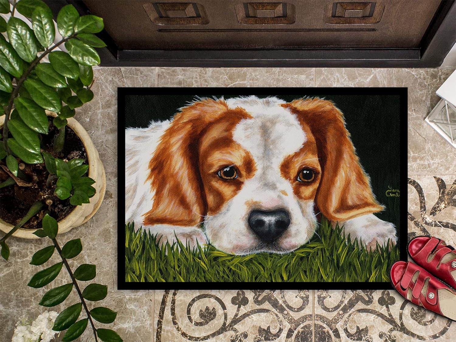 Caroline's Treasures AMB1395JMAT Cavalier Spaniel in The Grass Doormat 24x36 Front Door Mat Indoor Outdoor Rugs for Entryway, Non Slip Washable Low Pile, 24H X 36W