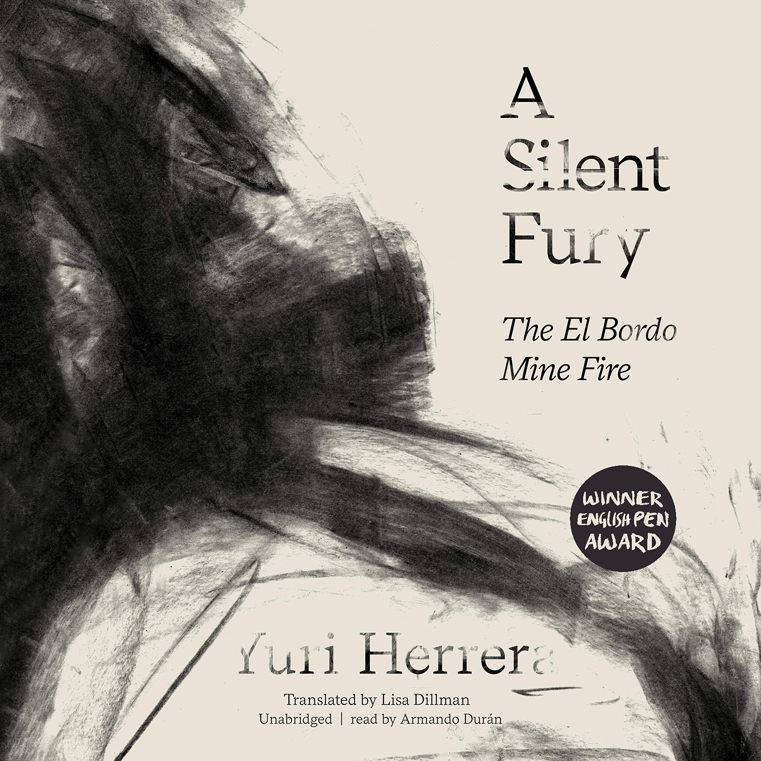 Cover art for A Silent Fury