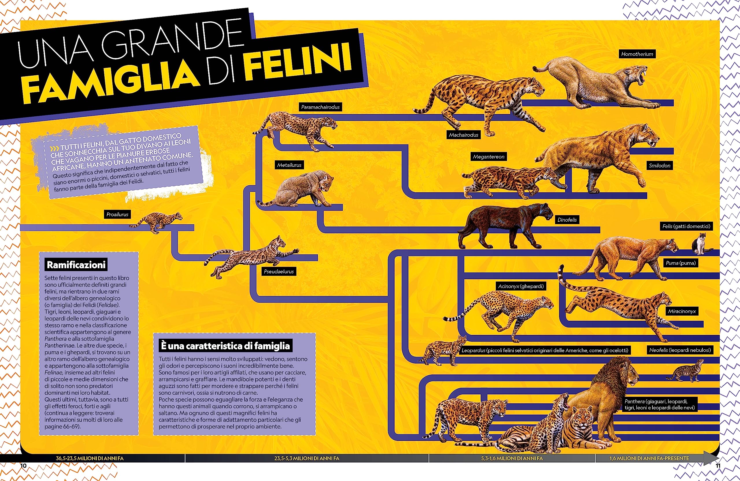 Il grande libro dei felini. Ediz. a colori