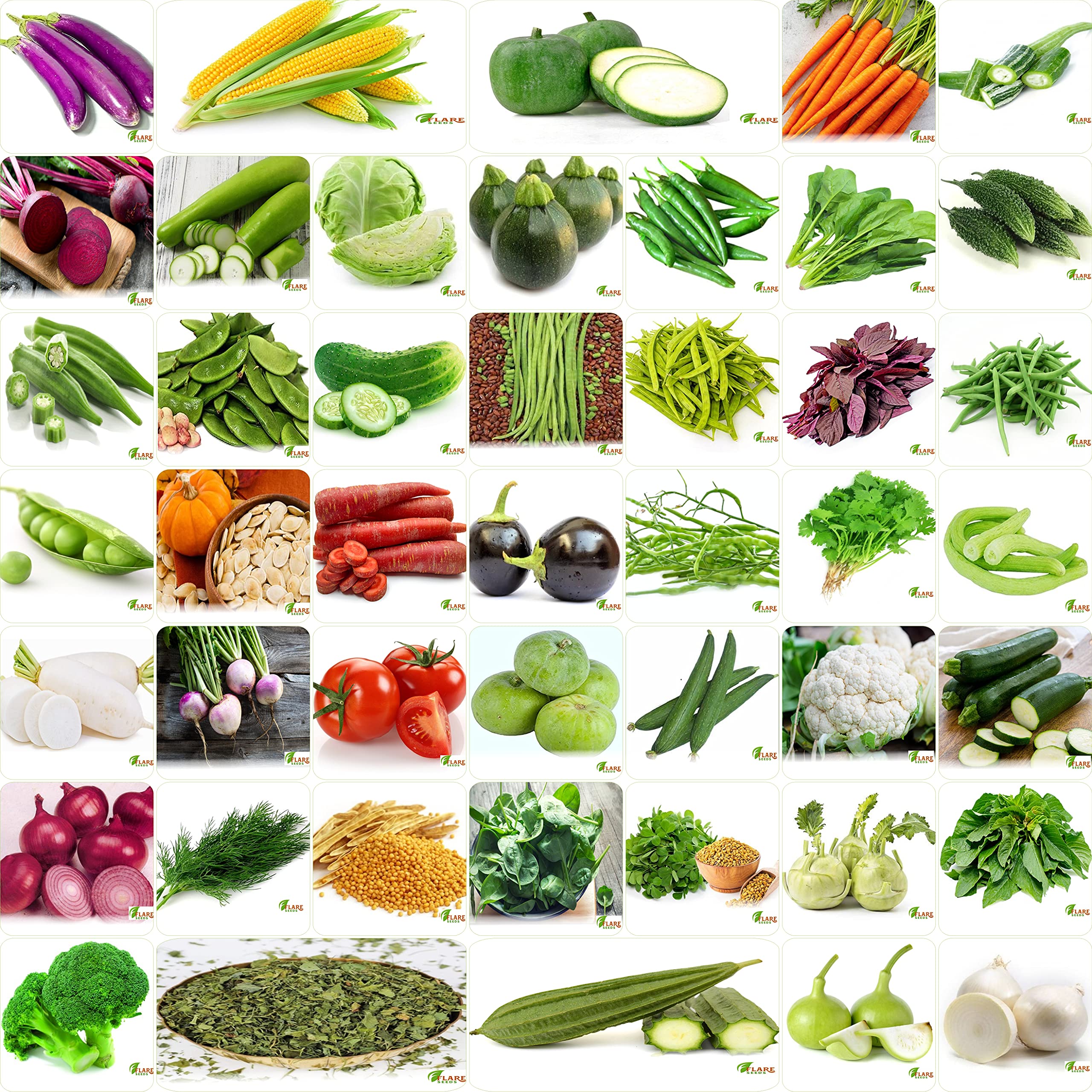 FLARE SEEDS No.1 Vegetable Seeds, Winter, Summer, Home Garden, Seeds Bank, Organic 45 Seeds Combo (B09C3Z87DD) Amazon Price History, Amazon Price Tracker