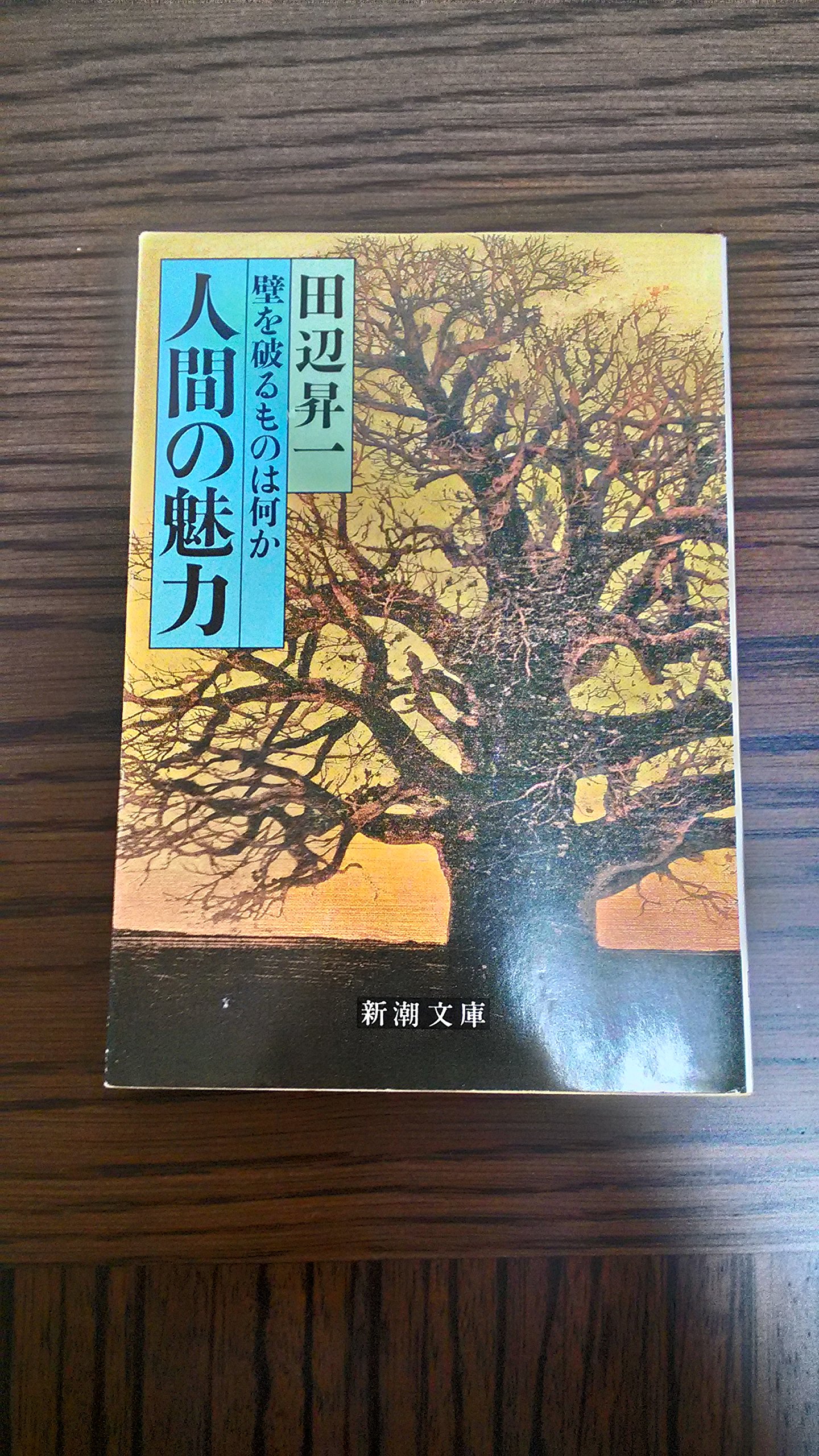 創破し明日へ挑む 田辺昇一 創破し明日へ挑む 田辺昇一